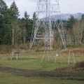 Climbing Tower